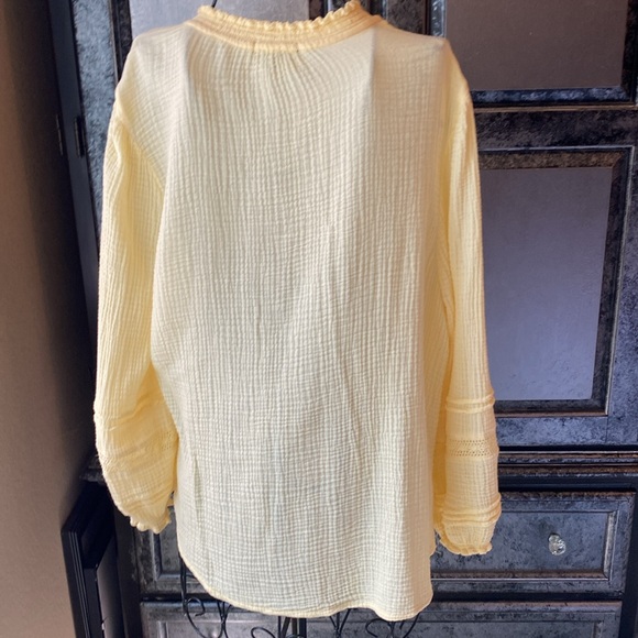 Democracy Top - Picture 5 of 7